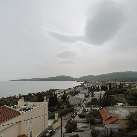 Niki House Apartment Volos Luaran gambar